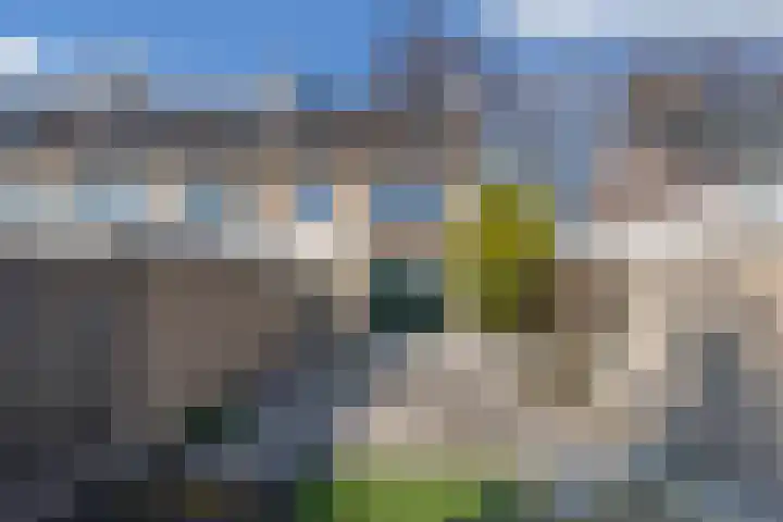 Kampwal 26 Emmeloord thumbnail 41