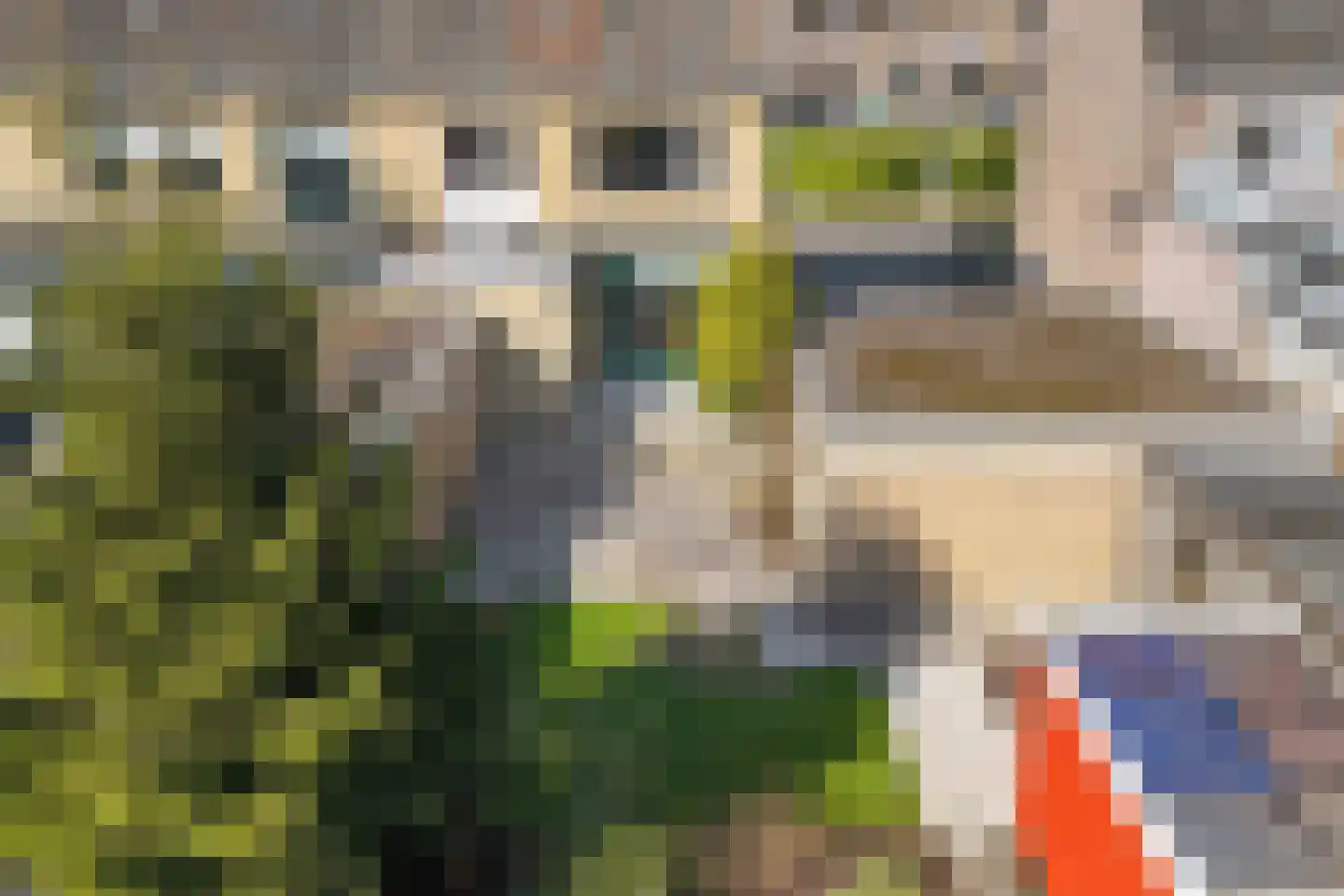 Kampwal 26 Emmeloord thumbnail 43