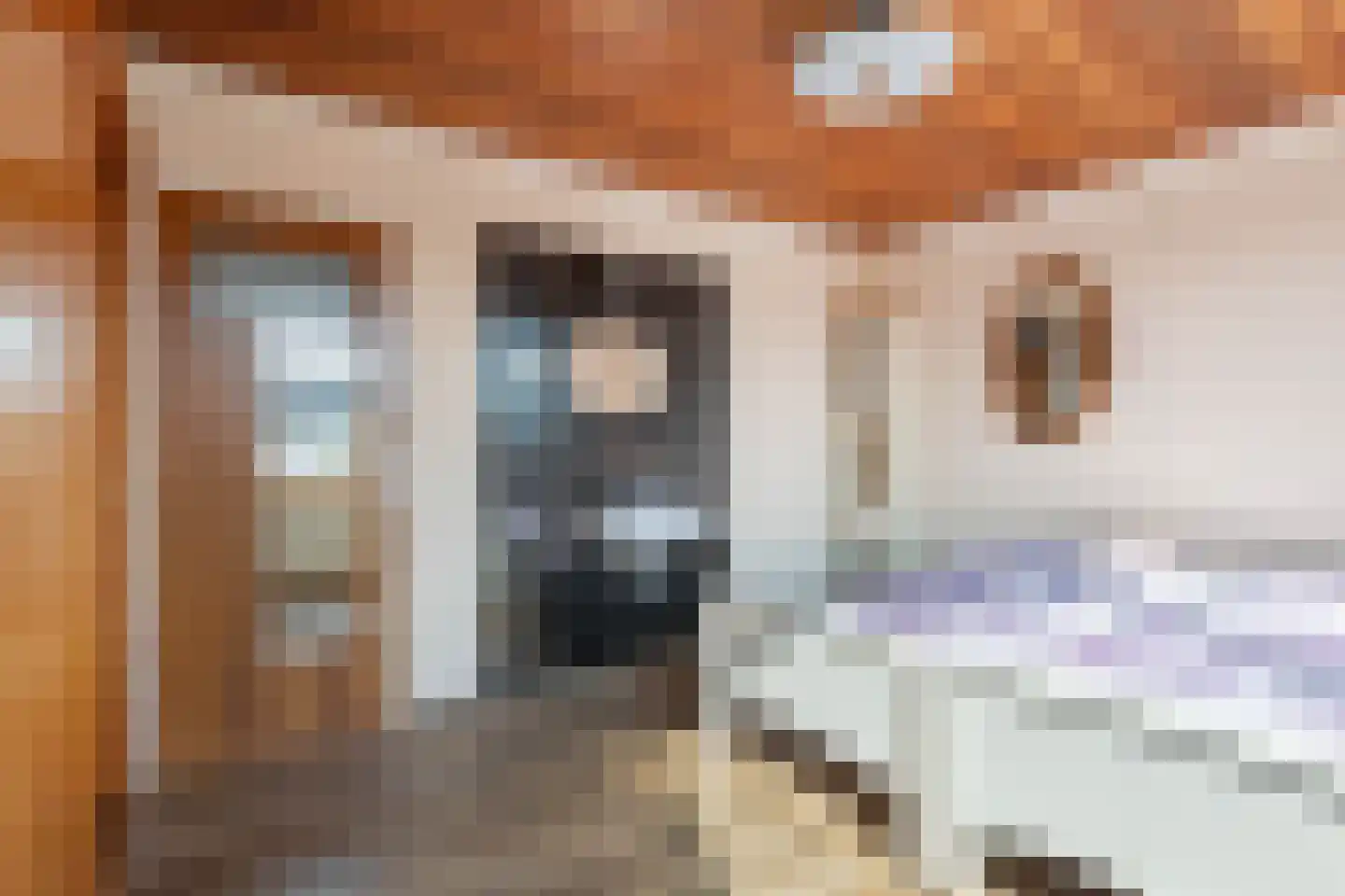Kampwal 26 Emmeloord thumbnail 47