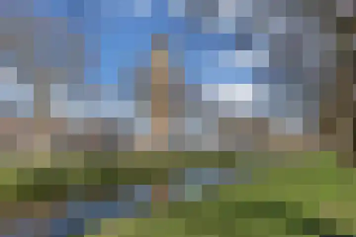 Kampwal 26 Emmeloord thumbnail 8