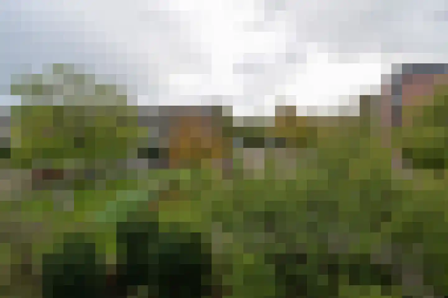 Kampwal 49 Emmeloord thumbnail 17