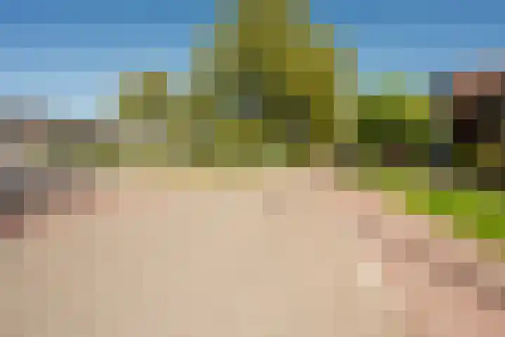 Kampwal 49 Emmeloord thumbnail 35