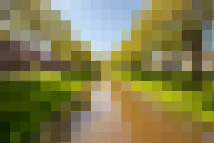 Kampwal 49 Emmeloord thumbnail 36