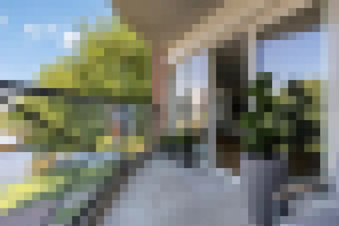 Kampwal 56 Emmeloord thumbnail 32