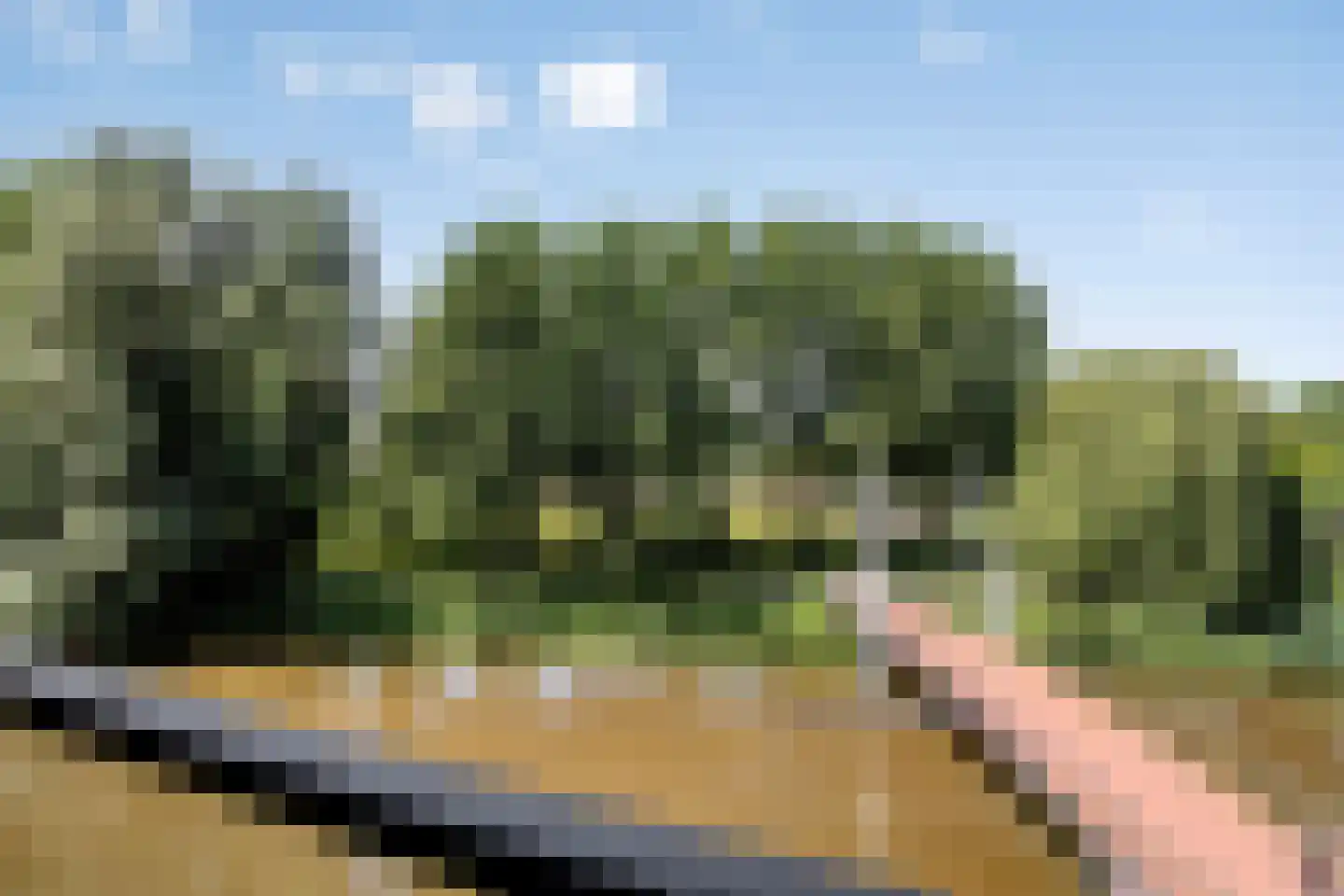 Kampwal 56 Emmeloord thumbnail 34