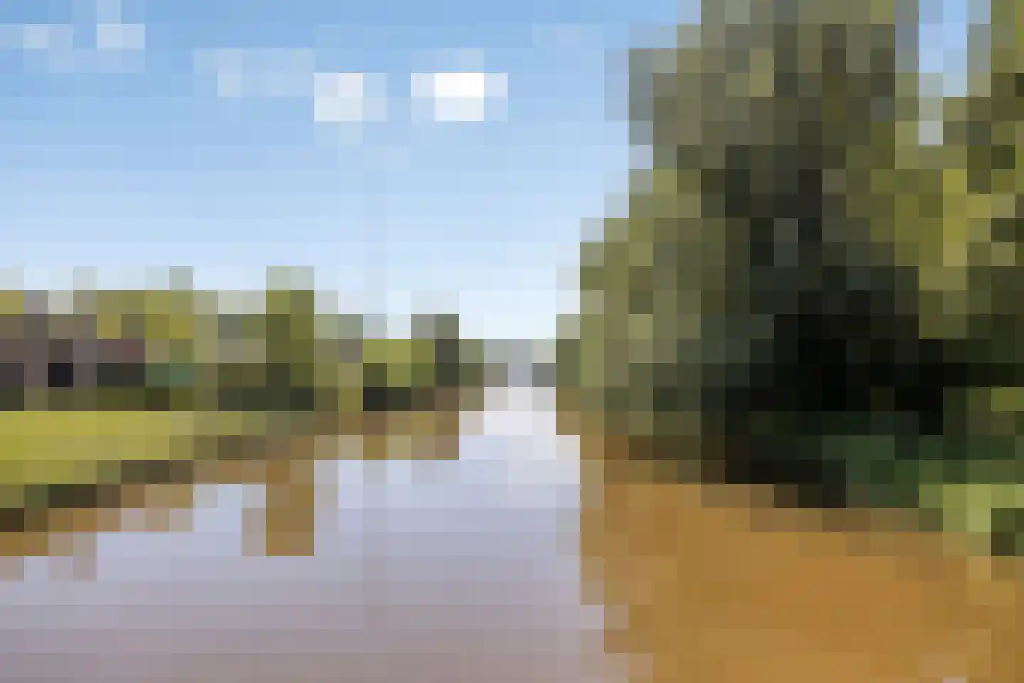 Kampwal 56 Emmeloord thumbnail 39