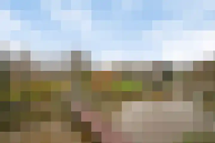 Kampwal 60 Emmeloord thumbnail 21