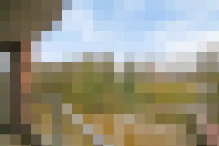 Kampwal 60 Emmeloord thumbnail 22