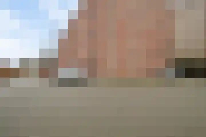 Kampwal 60 Emmeloord thumbnail 27