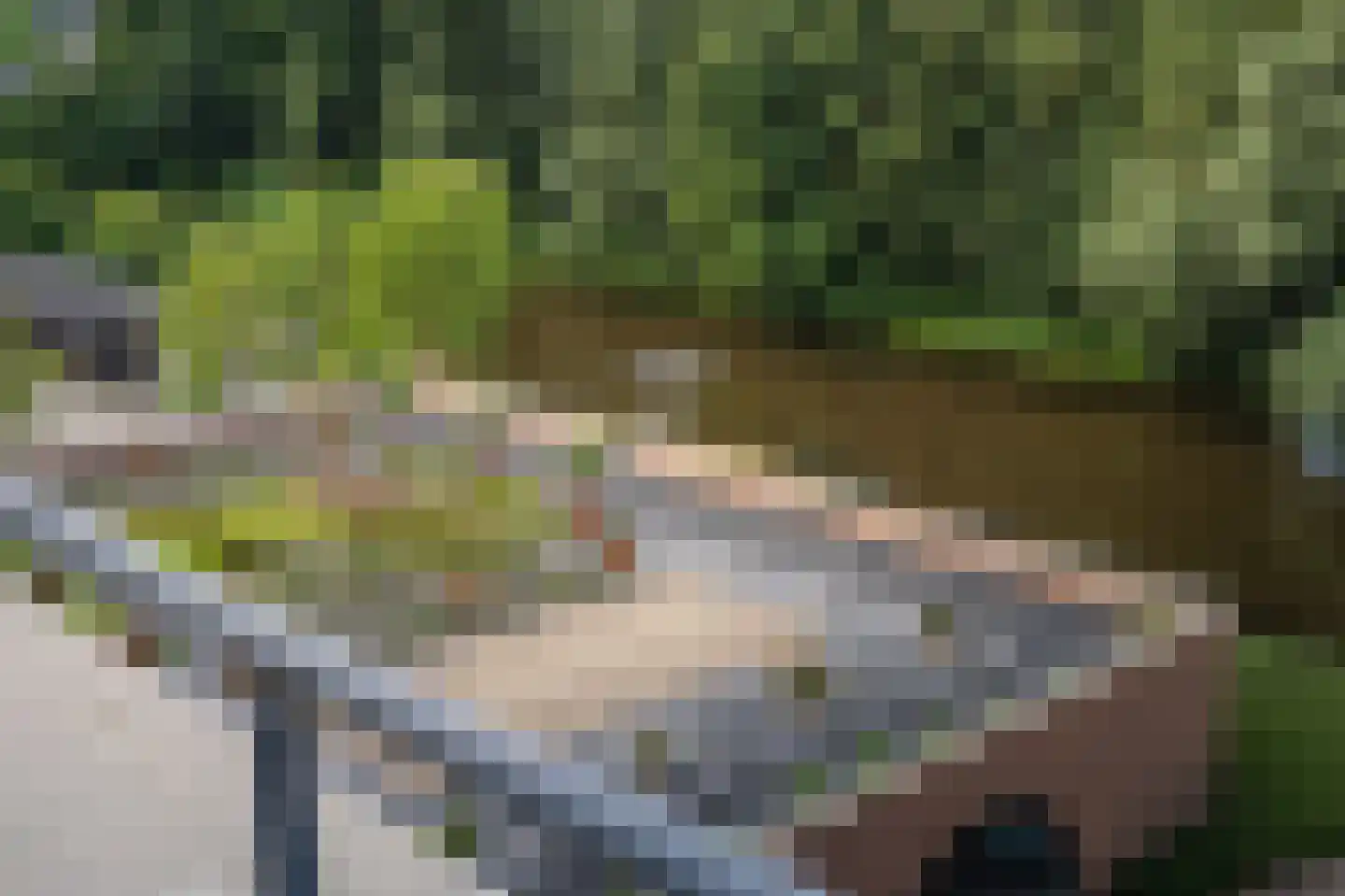 Kampwal 78 Emmeloord thumbnail 4