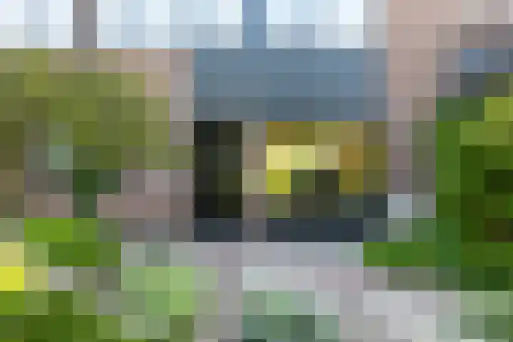 Kampwal 81 Emmeloord thumbnail 10