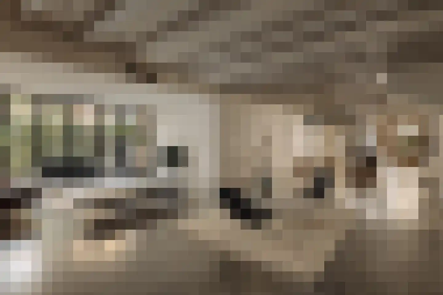 Kampwal 81 Emmeloord thumbnail 23
