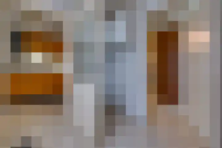 Kampweg 1 Sellingen thumbnail 18