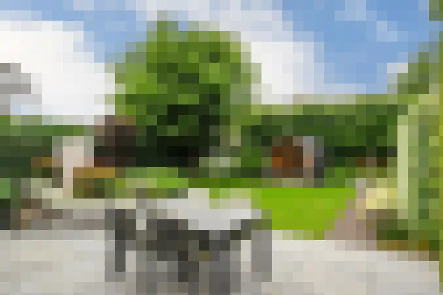 Kampweg 16 Beringe thumbnail 24