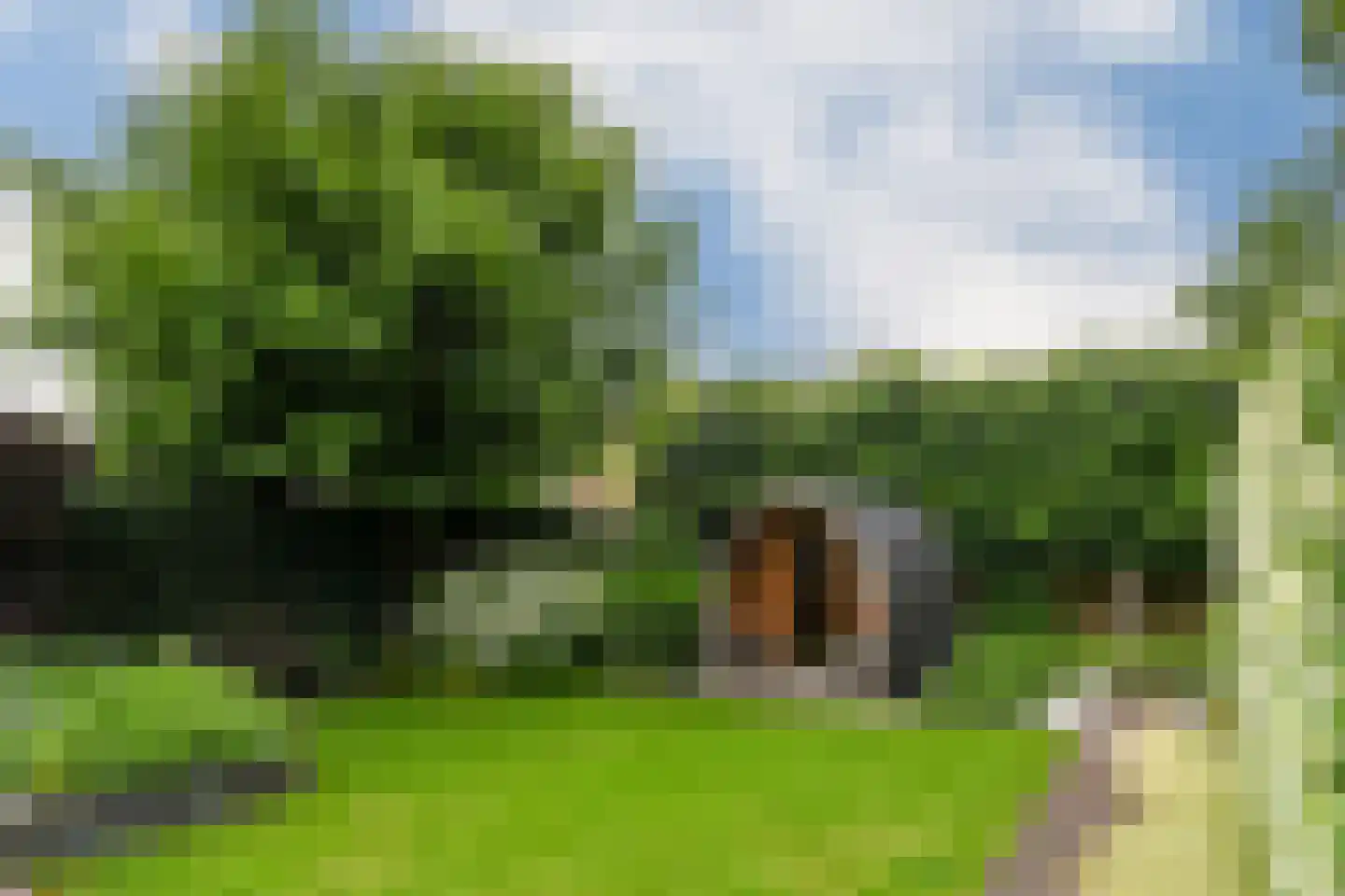Kampweg 16 Beringe thumbnail 25