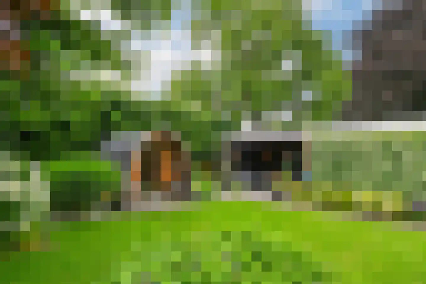 Kampweg 16 Beringe thumbnail 4