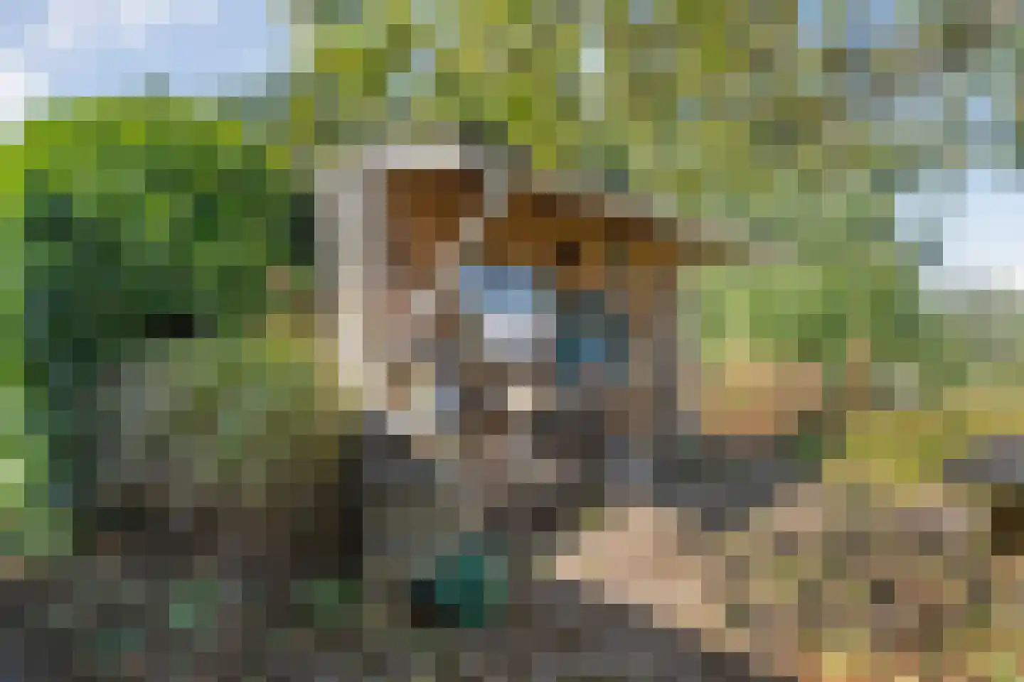 Kampweg 18 Ruinen thumbnail 42