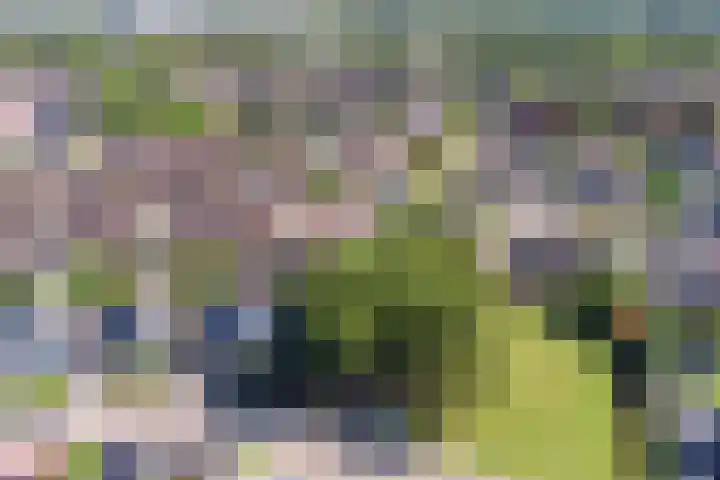 Kampweg 18 Swifterbant thumbnail 4