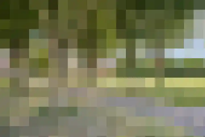 Kampweg 18 Swifterbant thumbnail 46
