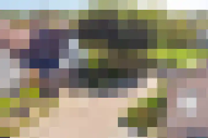 Kampweg 18 Swifterbant thumbnail 6