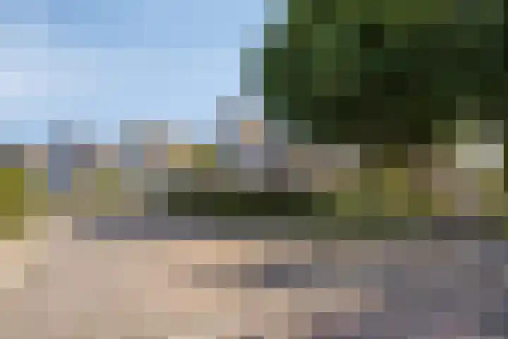 Kampweg 18 Swifterbant thumbnail 7
