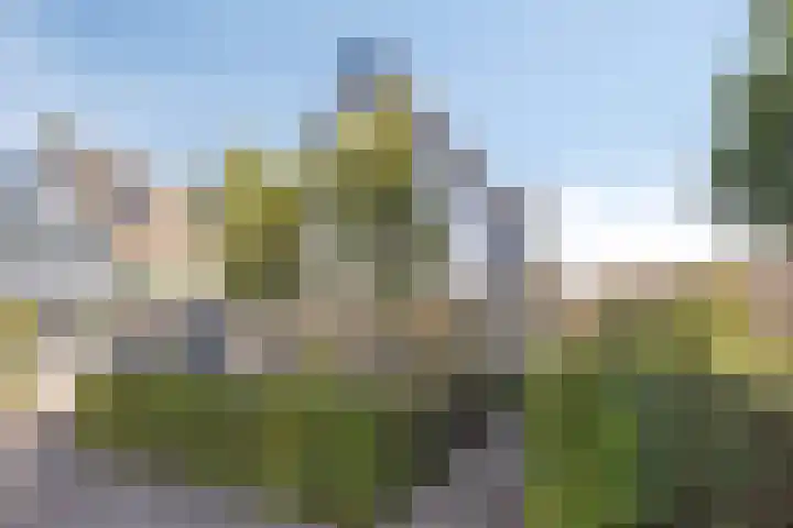 Kampweg 18 Swifterbant thumbnail 8