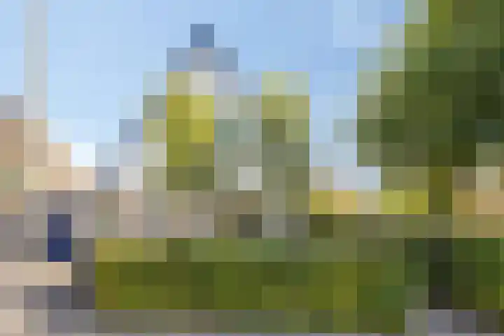 Kampweg 18 Swifterbant thumbnail 9