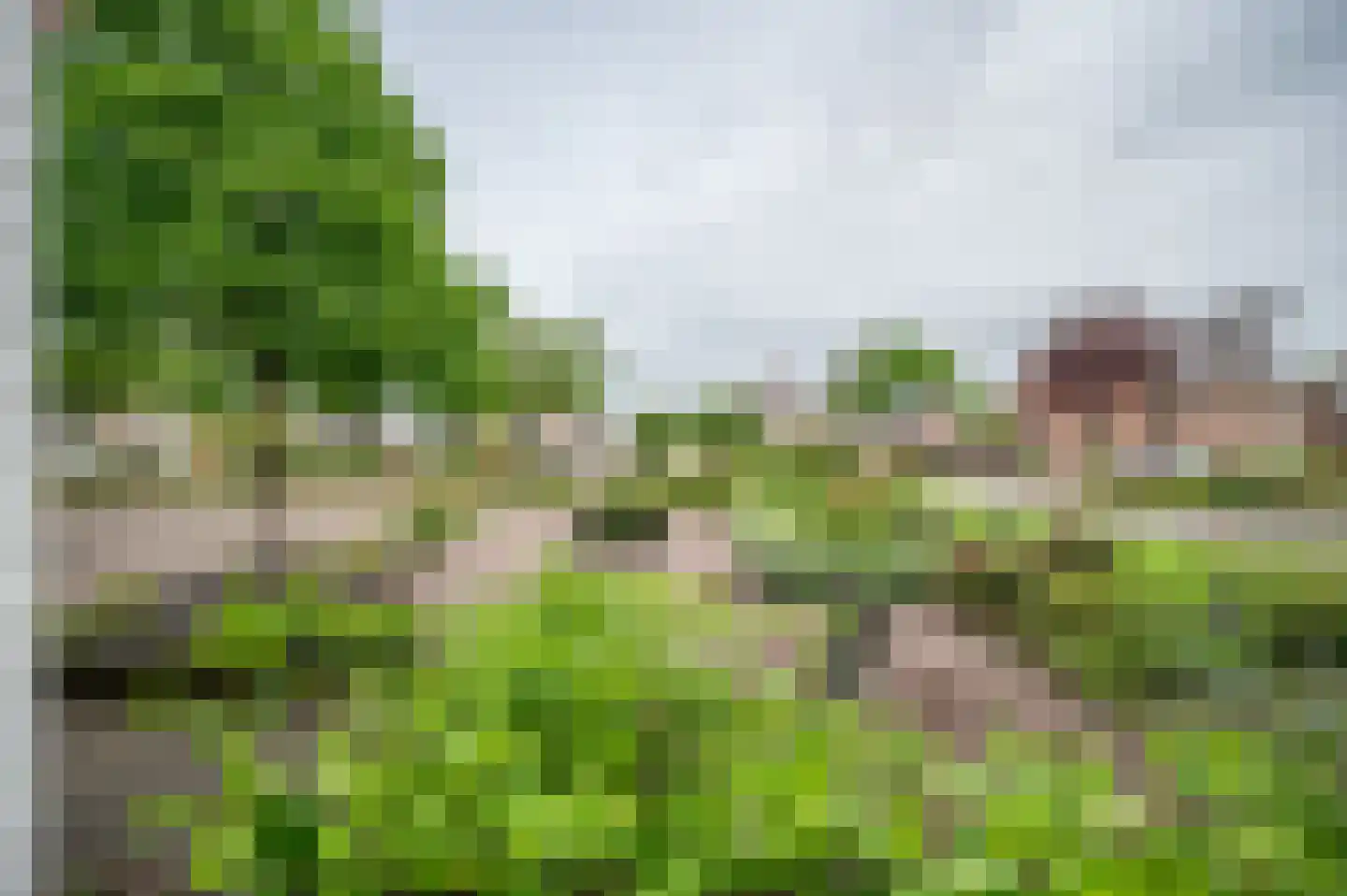 Kampweg 19 Ruinen thumbnail 25