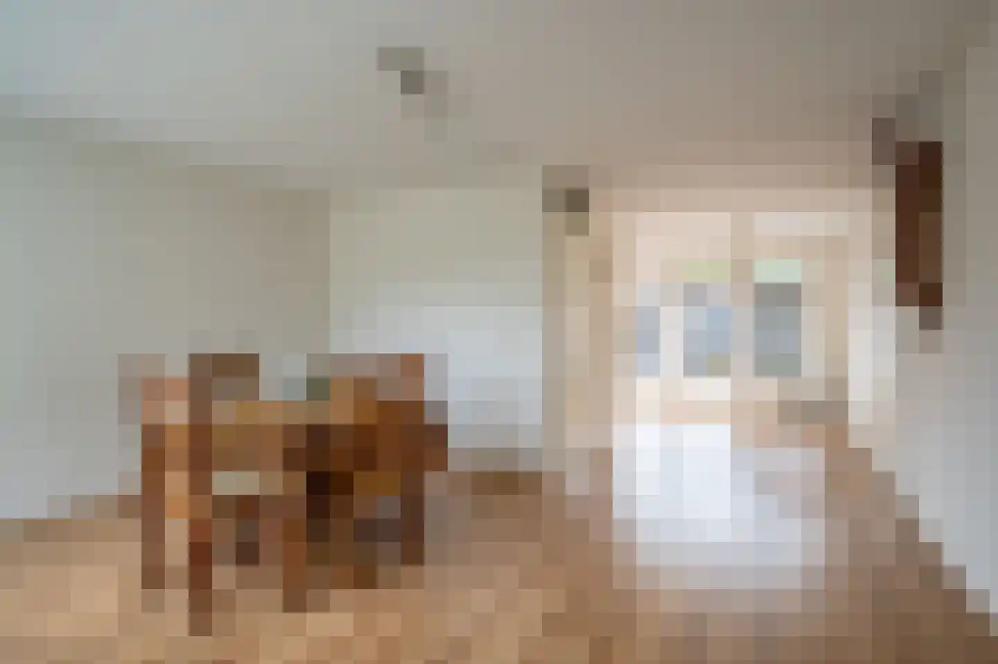Kampweg 19 Ruinen thumbnail 7
