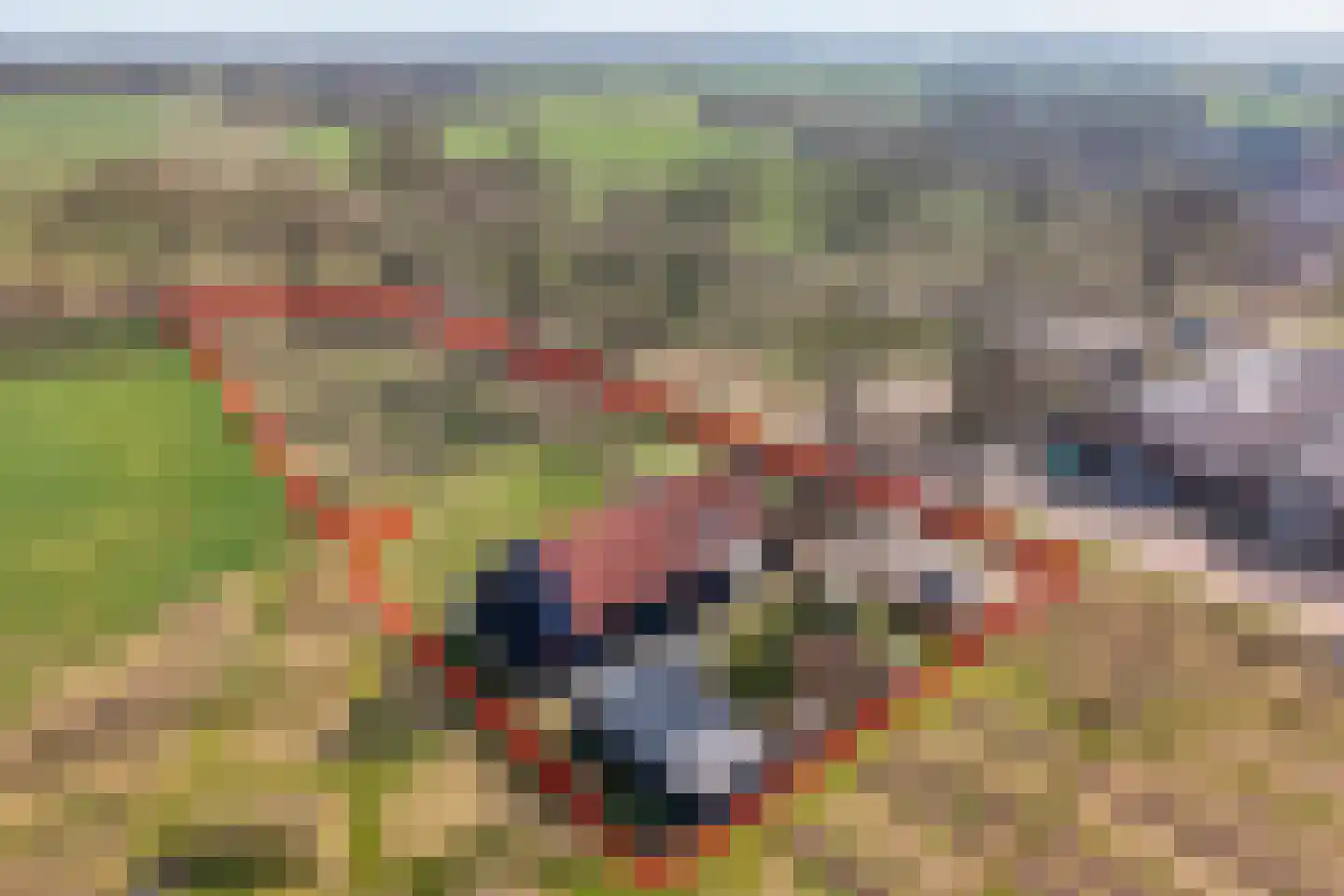 Kampweg 2 Benneveld thumbnail 5