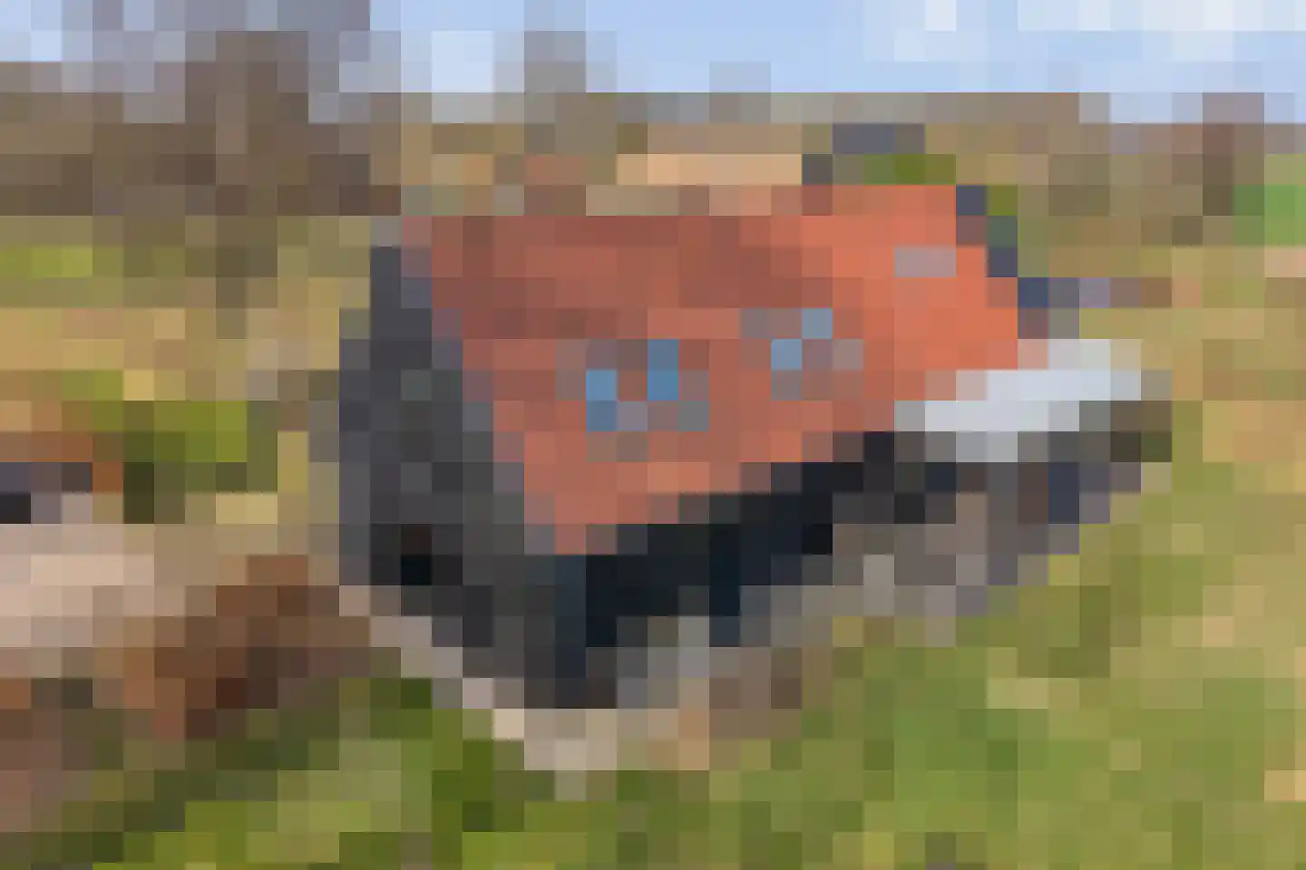 Kampweg 2 Benneveld thumbnail 64
