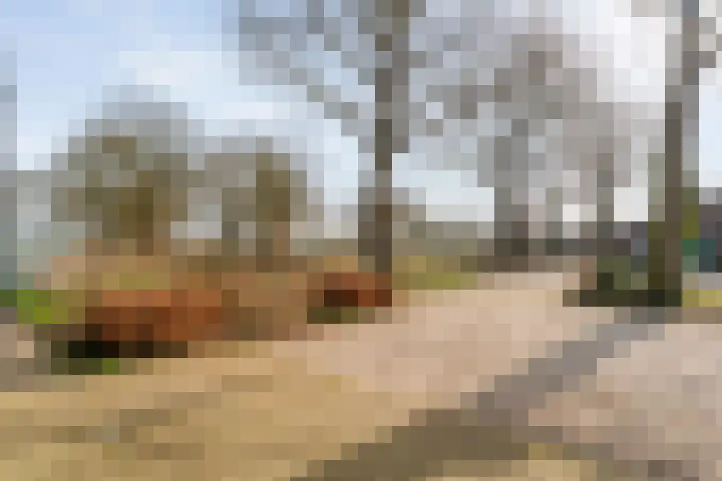 Kampweg 2 Benneveld thumbnail 67