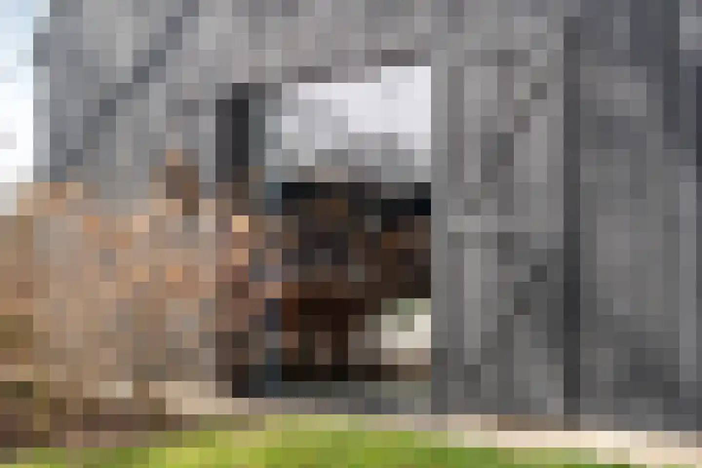 Kampweg 2 Benneveld thumbnail 70