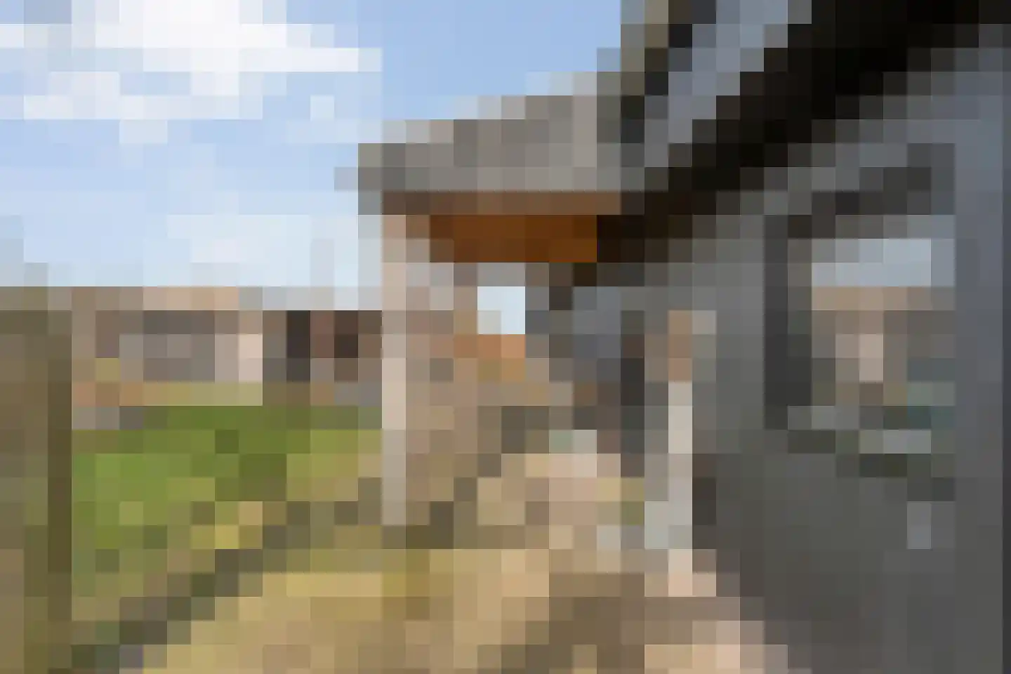Kampweg 2 Benneveld thumbnail 79