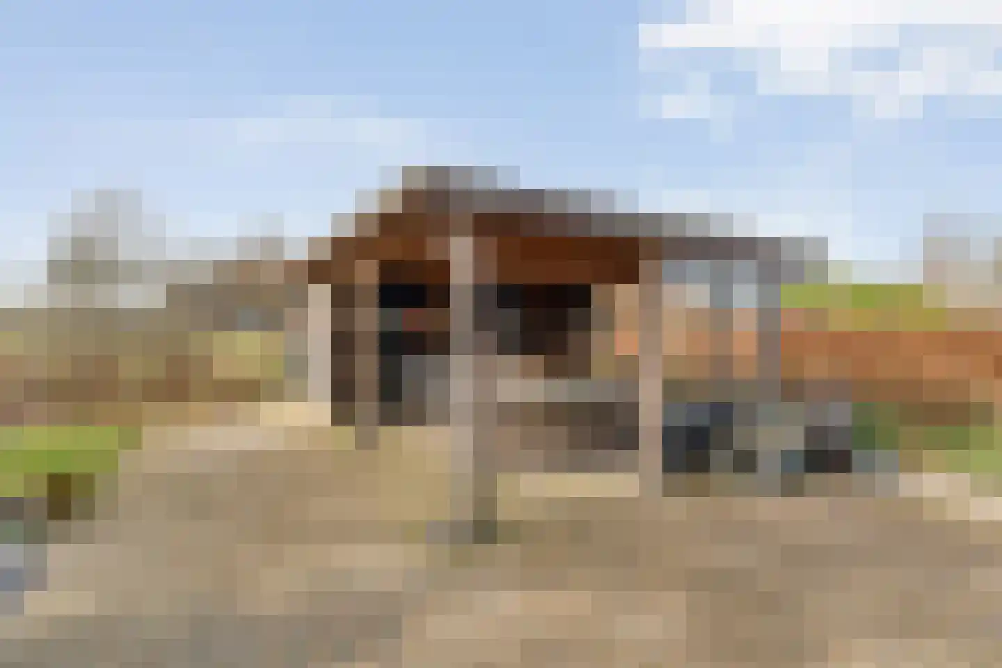 Kampweg 2 Benneveld thumbnail 82