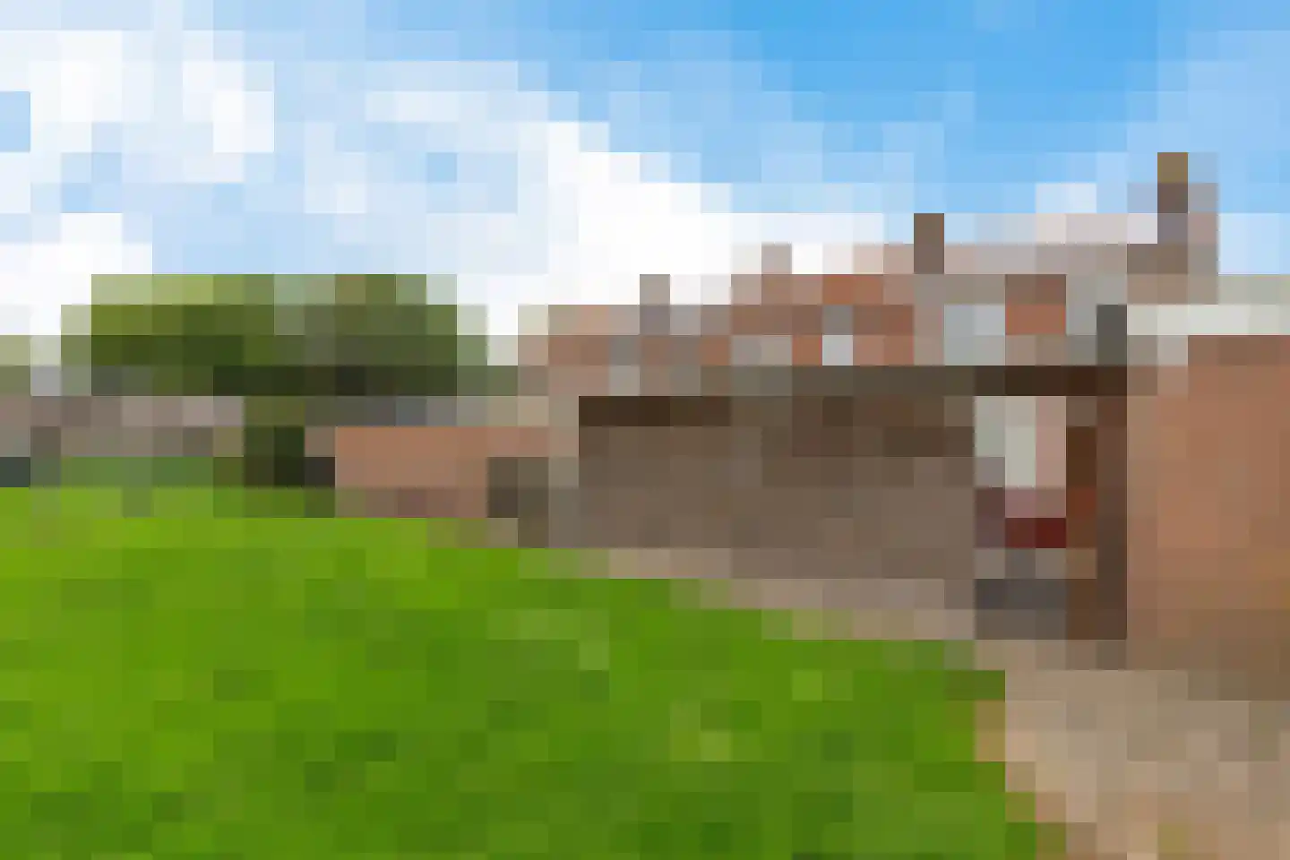 Kampweg 21 Marknesse thumbnail 5