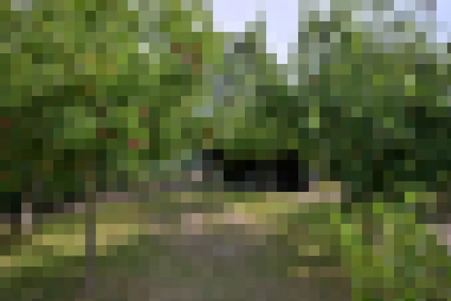 Kampweg 26 Brummen thumbnail 37