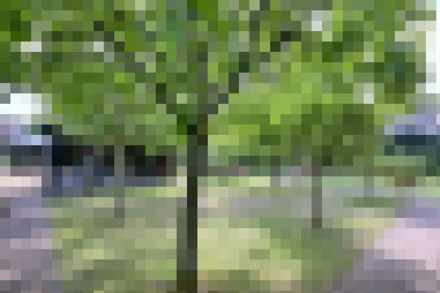 Kampweg 26 Brummen thumbnail 38
