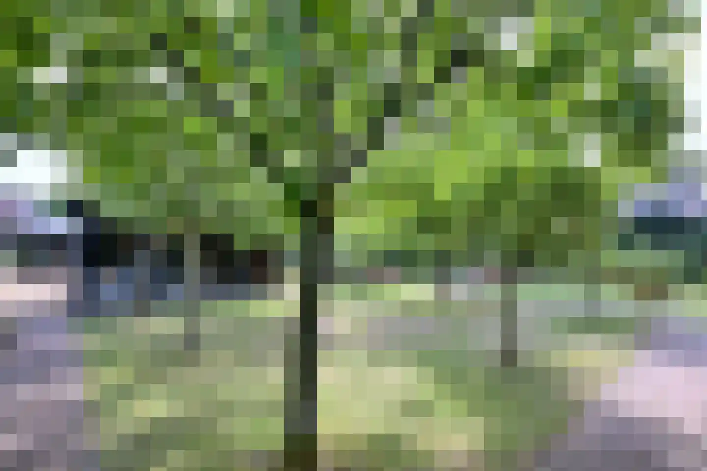 Kampweg 26 Brummen thumbnail 41