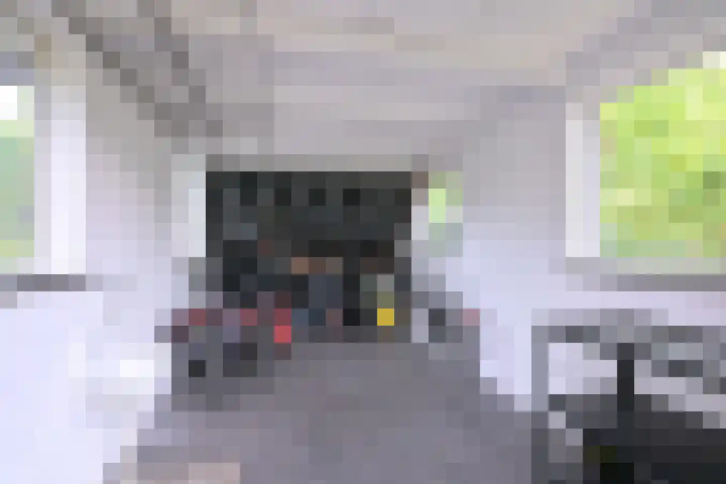 Kampweg 26 Brummen thumbnail 47