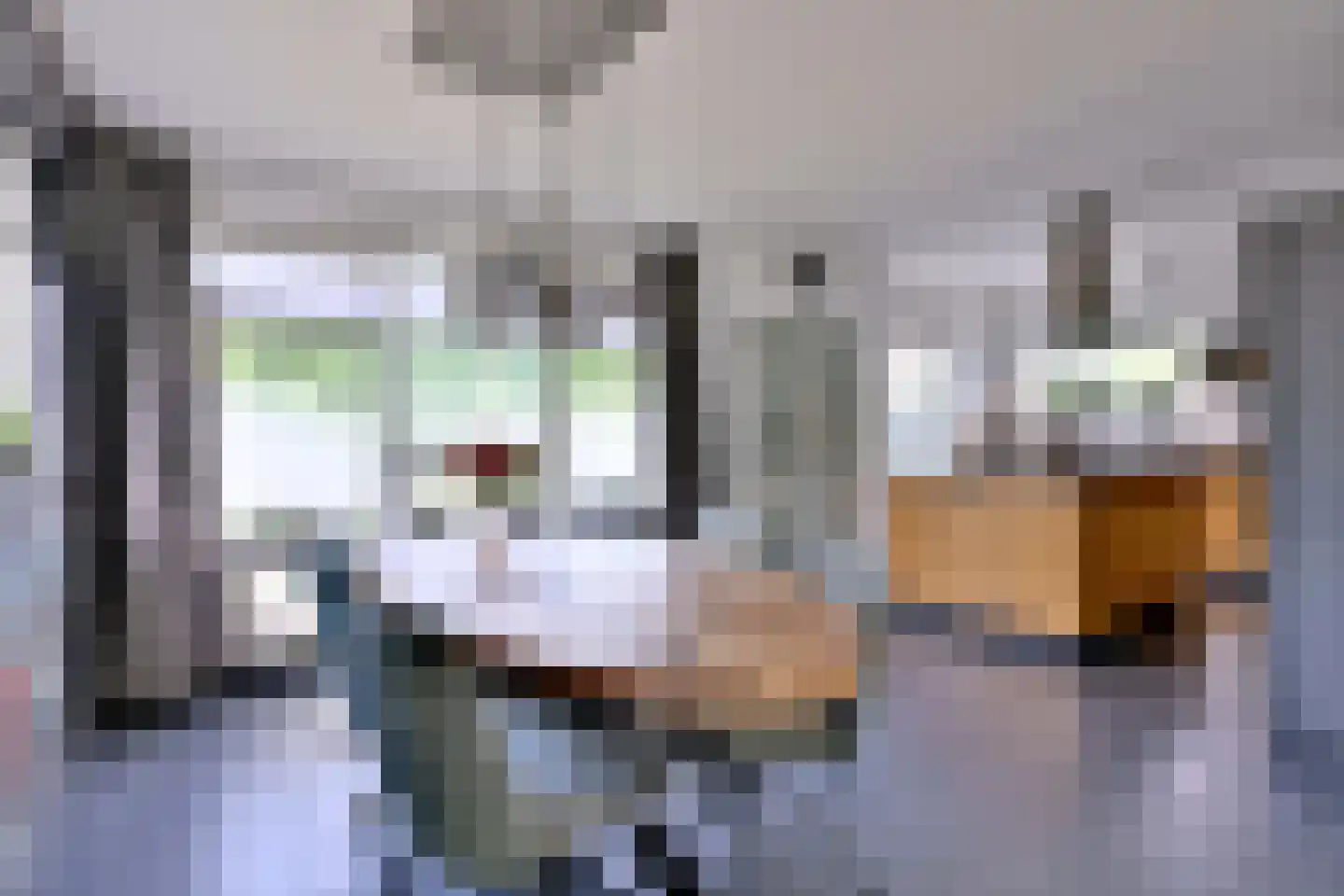 Kampweg 26 Brummen thumbnail 9