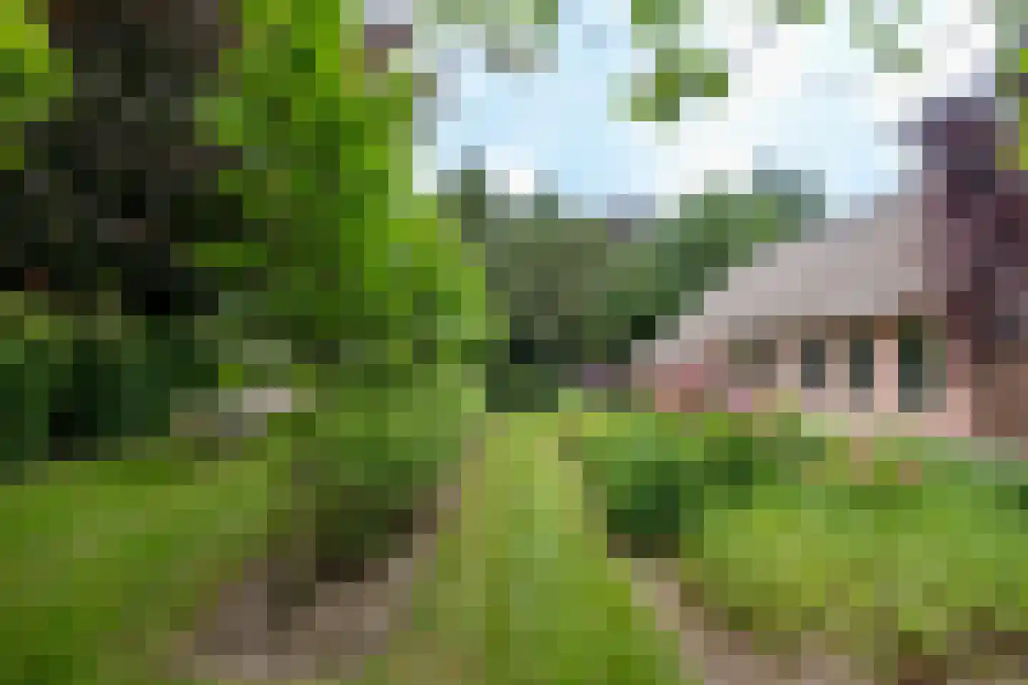 Kampweg 3 Valthe thumbnail 10