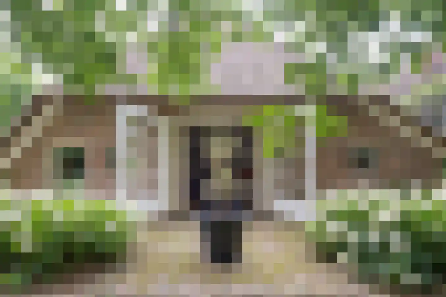Kampweg 3 Valthe thumbnail 17