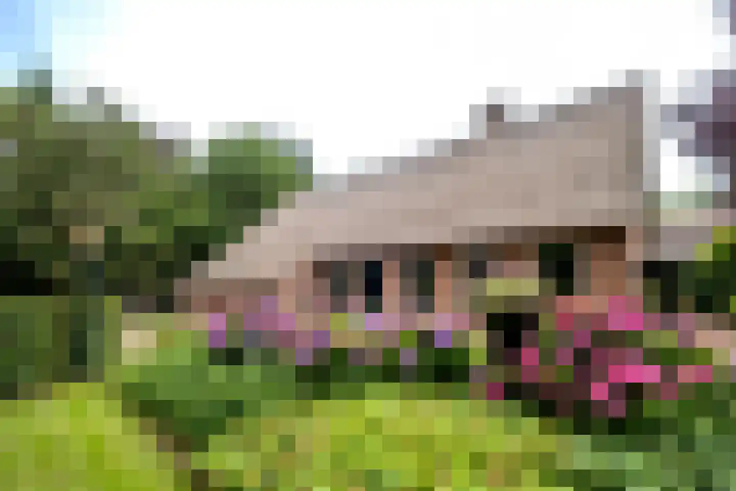 Kampweg 3 Valthe thumbnail 4