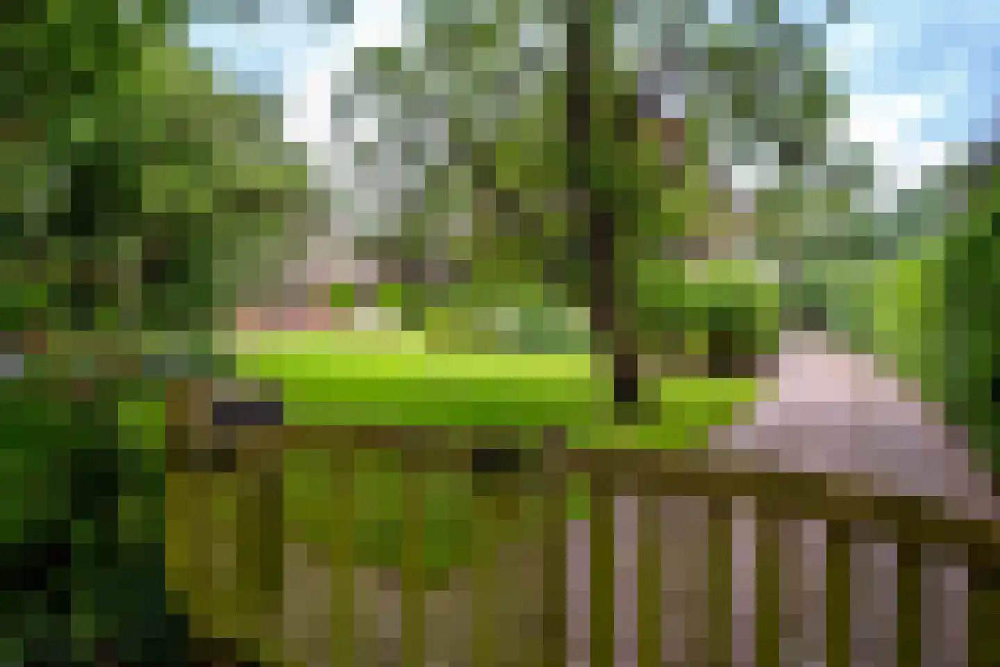 Kampweg 3 Valthe thumbnail 5