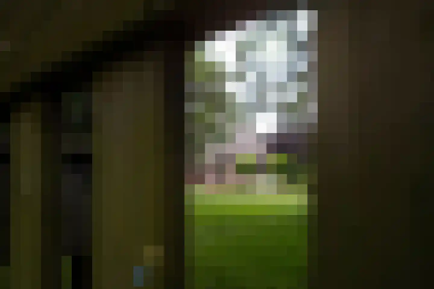Kampweg 3 Valthe thumbnail 6