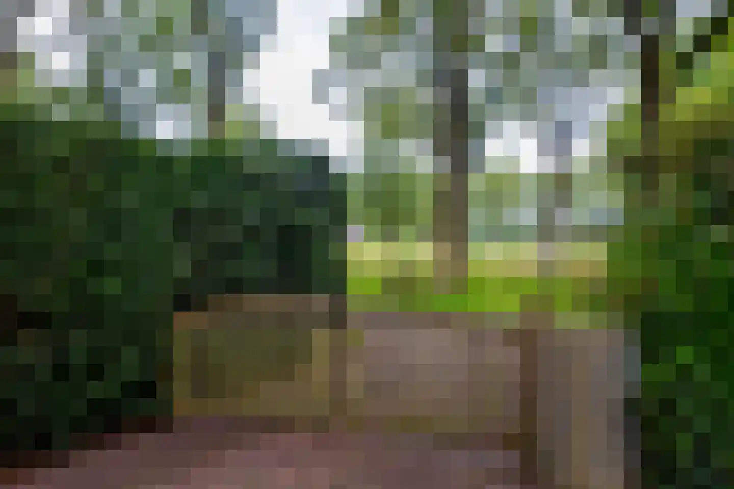 Kampweg 3 Valthe thumbnail 7