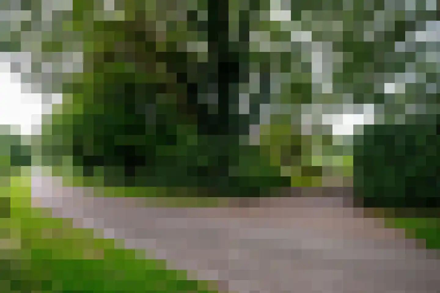Kampweg 3 Valthe thumbnail 72