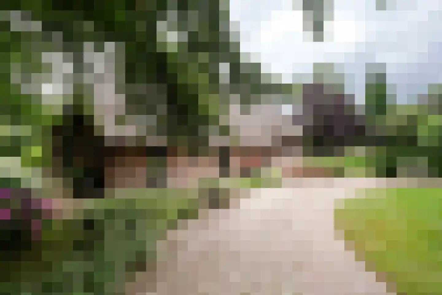 Kampweg 3 Valthe thumbnail 73