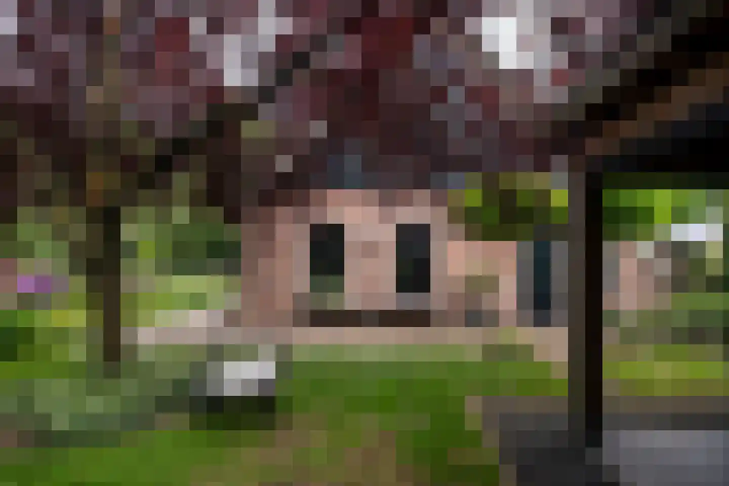 Kampweg 3 Valthe thumbnail 78